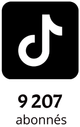 nombre abonns Tiktok de notre-bon-plan.com