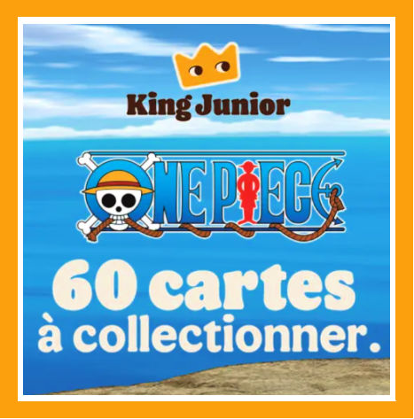 Burger King 60 cartes One Piece  collectionner dans le menu enfant