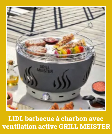 Lidl barbecue  charbon avec ventilation active Grill Meister