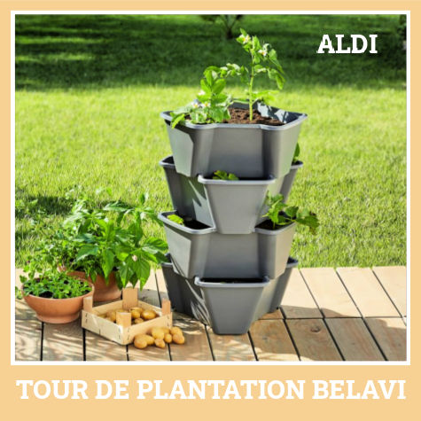 Tour de plantation Aldi Belavi
