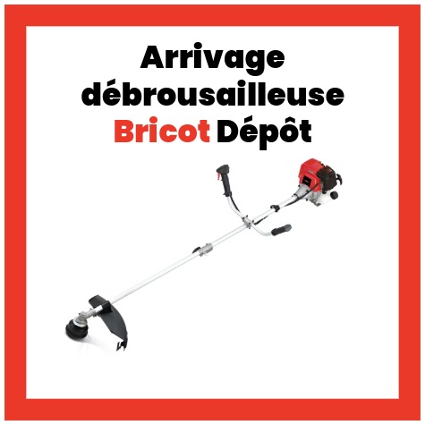 Arrivage debrousailleuse Brico Depot