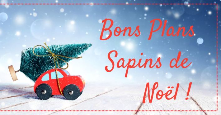 Bon plan sapin de Nol 2023