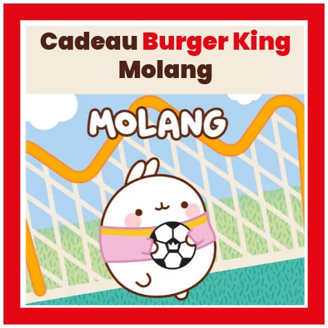 Jouet Menu Enfant Burger King Juin 2026&nbsp;: Chaussettes et Livres Molang � collectionner