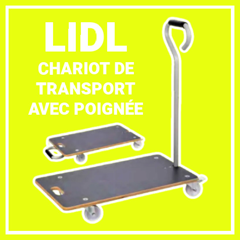 Chariot de transport avec poigne Lidl