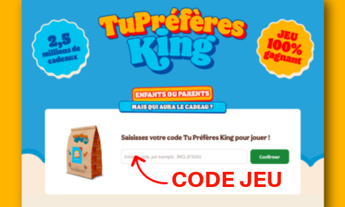 Comment saisir son code jeu Tupreferesking.fr