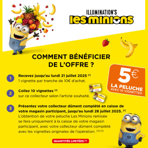 Comment faire la collection peluches les Minions chez Netto