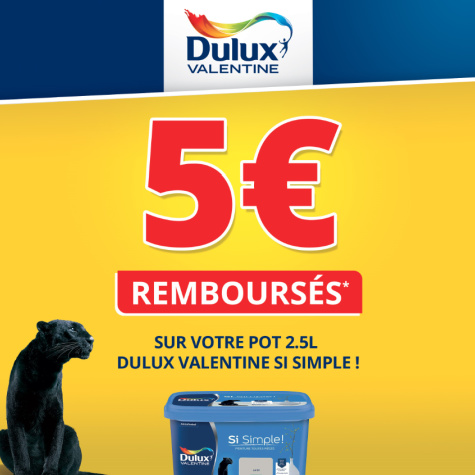 ODR Dulux Valentine 5 Si Simple