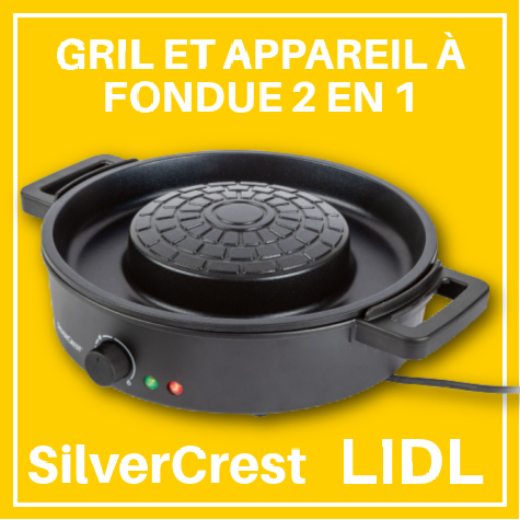 Avis : Mini friteuse Lidl de Silvercrest et appareil à fondue - Cuisine Test