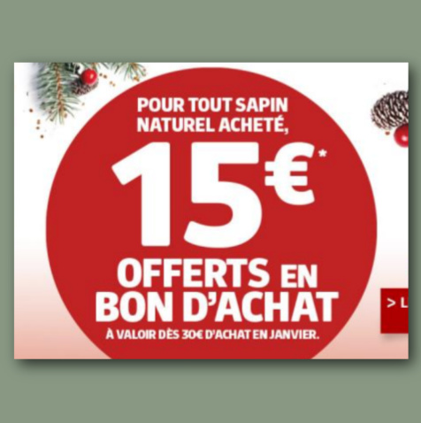 Jardiland sapin naturel bon achat 15 offert