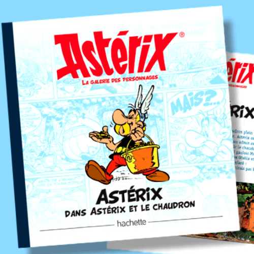 Hachette collection Astrix bote des irrductibles