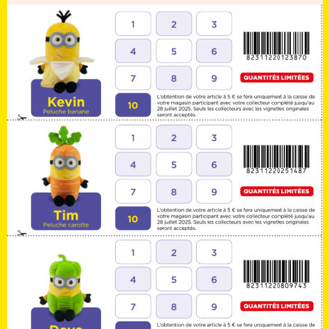 Collecteur vignettes Netto les Minions 2025