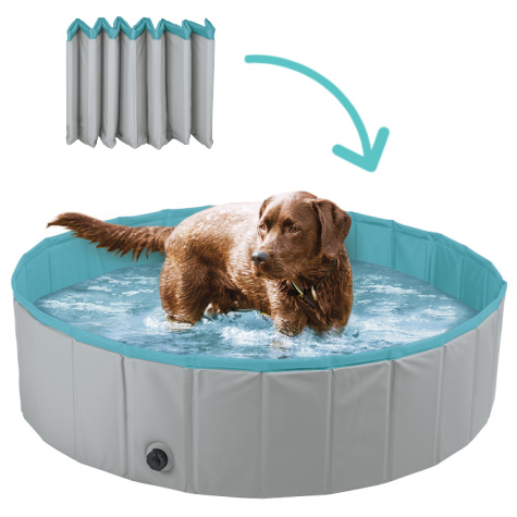 Piscine pour chien Lidl Zoofari
