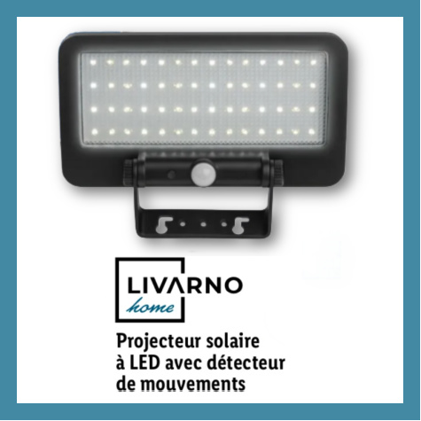 Projecteur solaire  LED avec dtecteur de mouvements Lidl Parkside