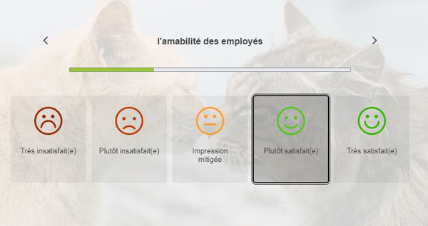 question prcise sur feedback.maxizoo.fr