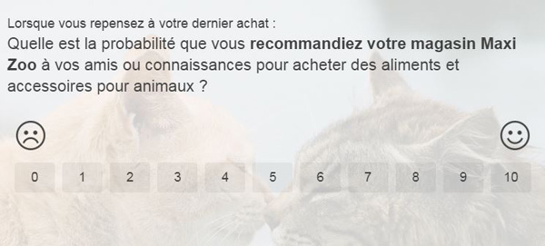 question recommandation sur feedback.maxizoo.fr