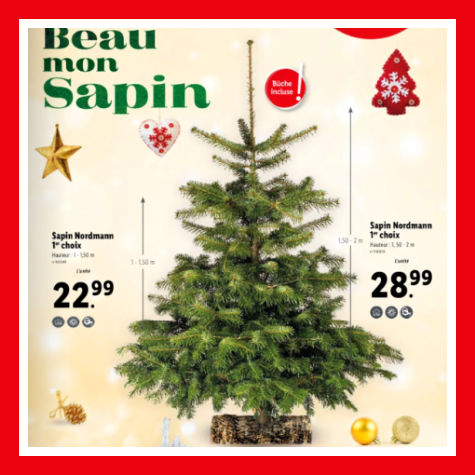 Bon plan sapin Lidl Nol 2022