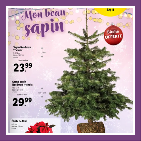 Sapin Nordmann Lidl