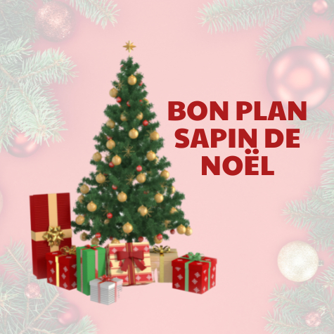 Bon plan sapin de Nol 2023 dans les magasins et supermarchs