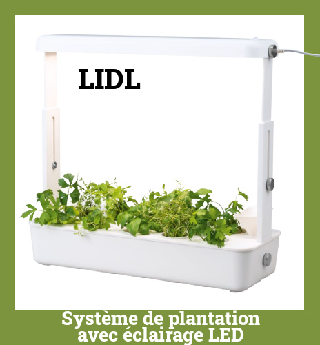 Systme de plantation avec clairage Led Lidl 