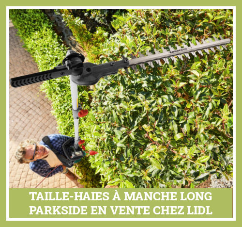 Taille haies  manche long Lidl Parkside