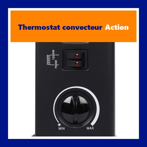 Thermostat et interrupteurs du convecteur �lectrique Action Alpina
