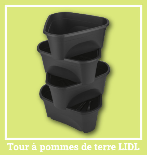 Tour  pommes de terre Lidl 